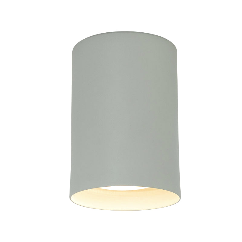 Lámpara Plafón 1 Luz Industrial para techo Nova Par38